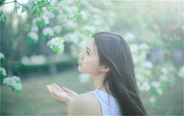 马尔康验血查男女几周可以验(验血查男女结果图)